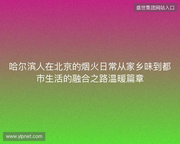 哈尔滨人在北京的烟火日常从家乡味到都市生活的融合之路温暖篇章