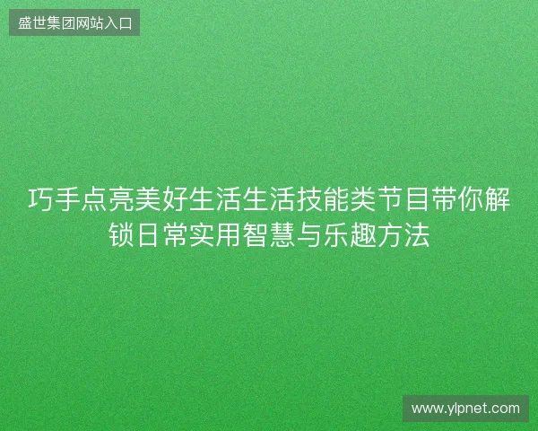 巧手点亮美好生活生活技能类节目带你解锁日常实用智慧与乐趣方法